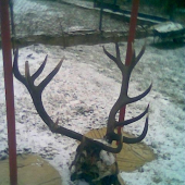 14-torák,14.1.2010,škoda ho!!