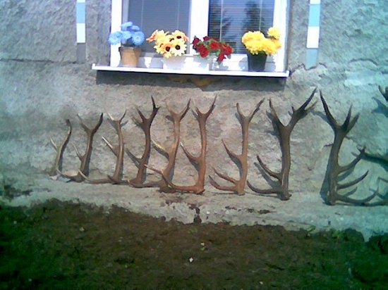 Zopár tohtoročnych