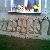 Zopár tohtoročnych