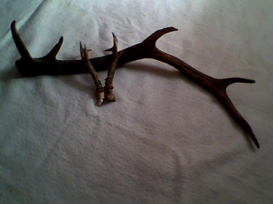 Nález mojich synov-zabudnutí+úhyn-dnes