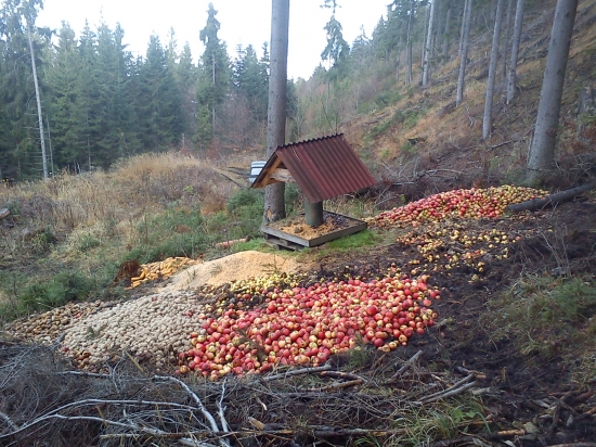 trošku treba pomôcť