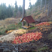 trošku treba pomôcť