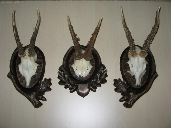 Serie podložek pod srnečky