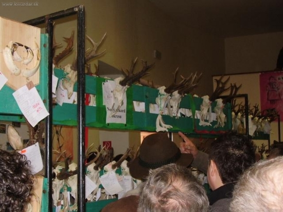 najlepsie trofeje srnoc gemera