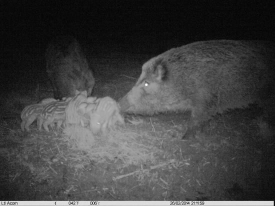 V pyžame je nám zima