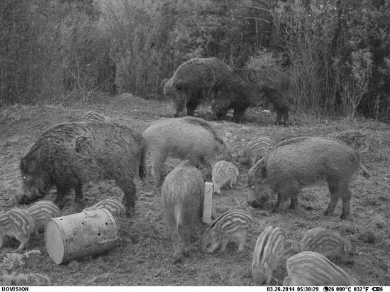 Viacgeneračná rodinka.