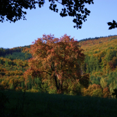 cestou na Dlouhé záhony