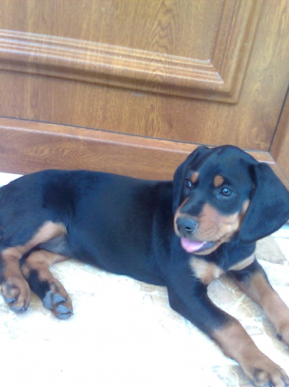 Eura ešte keď bola malá