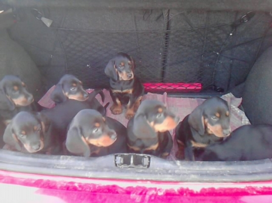 Boli sme sa očkovať