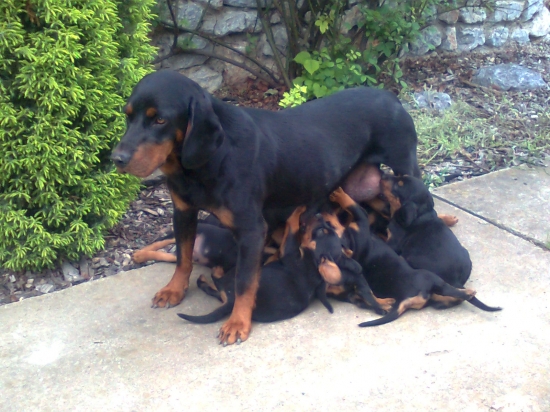 To mliečko nám chutí