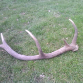 10 torák druha foto