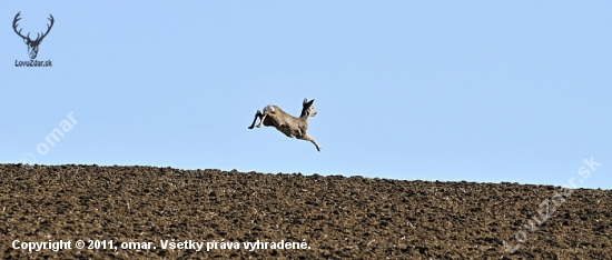 v pohybe