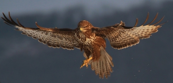 letovka pri západe slnka