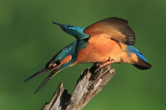 môj oblúbený fotoobjekt