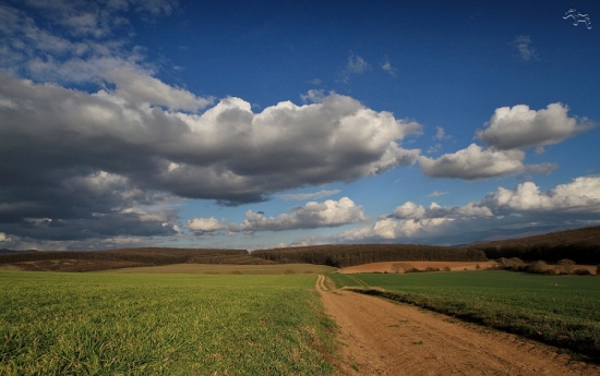 Nedašovský chotár- 1. marca