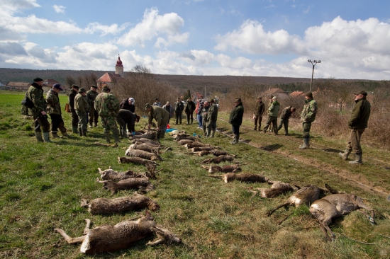 Smutný pohľad - úhyn  - M.Hoste okr.Bánovce n/B