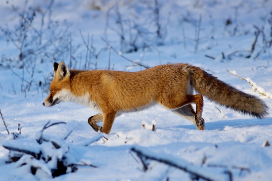 náhodné stretnutie