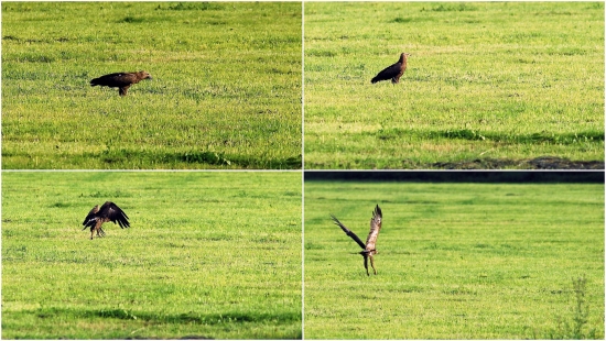 čo som to odfotil ?