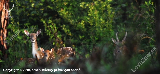 že by rodina?