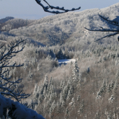 Pohľad z prírodného okna