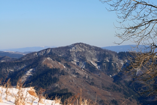 Jelenská skala