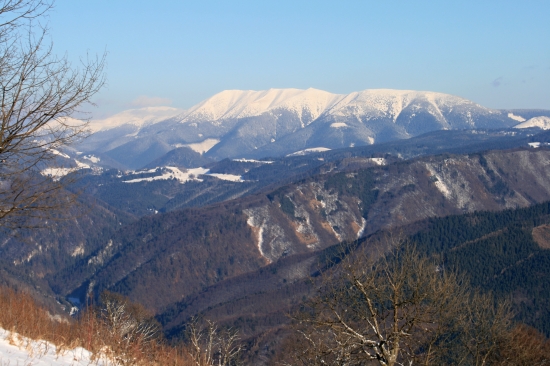 Prašivá v bielom