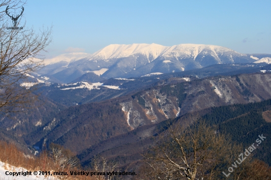 Prašivá v bielom