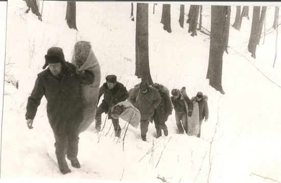 Prikrmovacia klasika v horách
