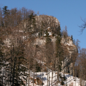 Črchľa