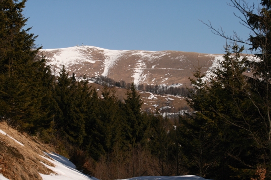 Krížna