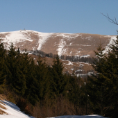 Krížna