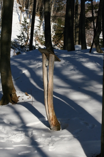 Soľník v zajatí snehu