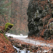 Horská bystrina