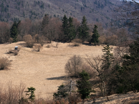 Balzam na poľovníkovu dušu