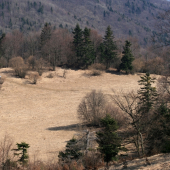 Balzam na poľovníkovu dušu