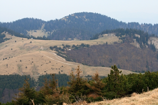 Kraľova studňa