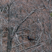 Takto si tam nenápadne sedel...