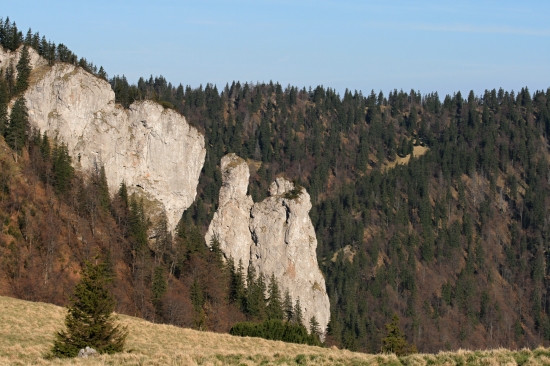 Fatranská ťava