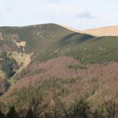 Pohľad do Veľkého koryta