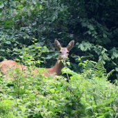 Úloha matky ju ešte len čaká