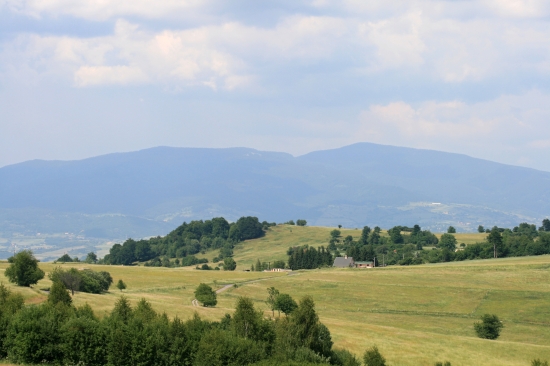 Podpoľanie