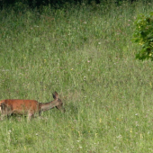 Stačí si len vybrať