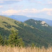 Majerová skala s Prašivou v pozadí