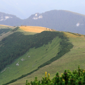 Hrebeňom Malej Krížnej