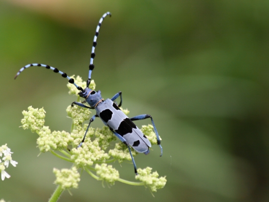 Stretnutie, ktoré poteší