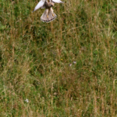 Ako keby visel vo vzduchu