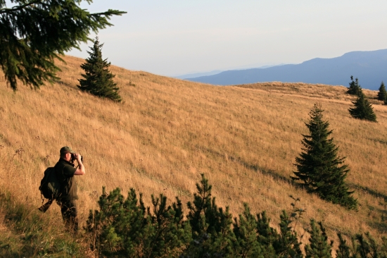 Miky to skúša s jeleňmi