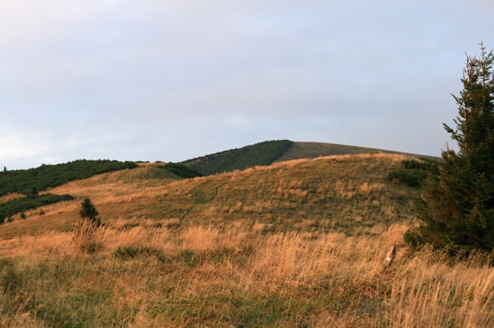 Hole moja láska