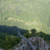 Farebná pestrosť jesene