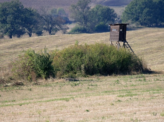 V šírom poli posed stojí ...
